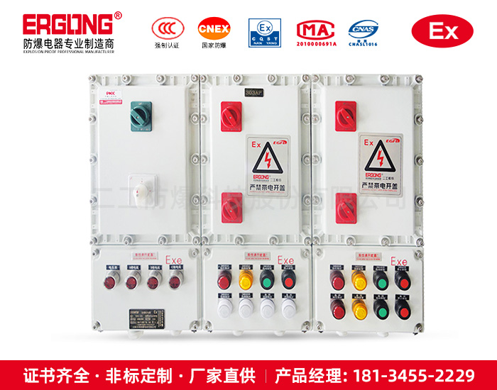 防爆軟啟動(dòng)器控制柜防爆配電箱